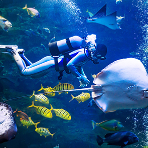 K�pr�l� Kanyon Scuba Diving